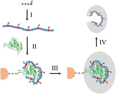 Highly Selective Aptamer-Molecularly Imprinted Polymer Hybrids for Recognition of SARS-CoV-2 Spike Protein Variants