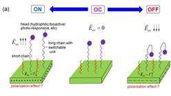 Electronic communication of cells