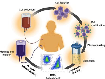 An Integrated Perspective on Measuring Cytokines to Inform CAR-T Bioprocessing