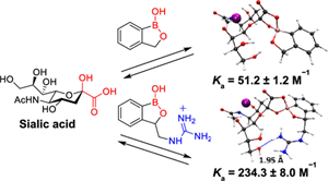 publication image 87