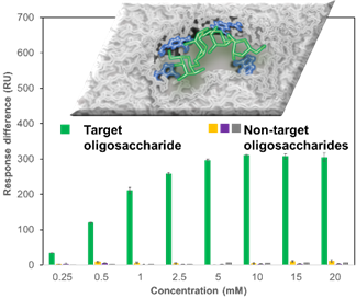 publication image 88