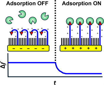 Voltage-Responsive Biomolecular Binding