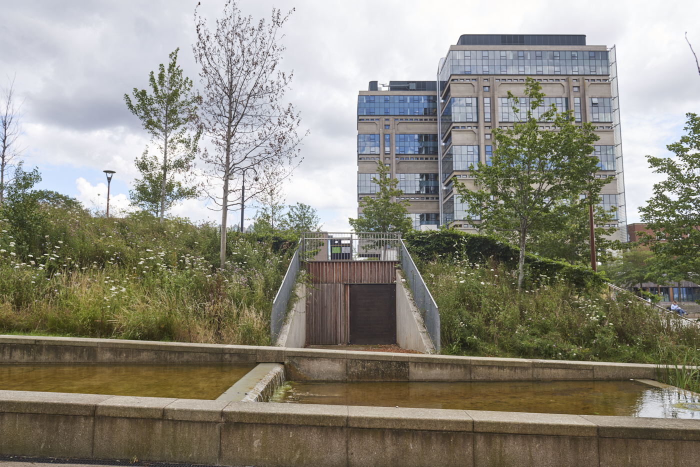 Carved bronze Pump Room Door by Betina Furnee featuring inscription of poetry by T.S Eliot in context of wild flower grass ridge with Muirhead Tower behind and water feature in foreground