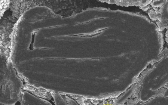 A monochrome image of a sample following argon cleaning
