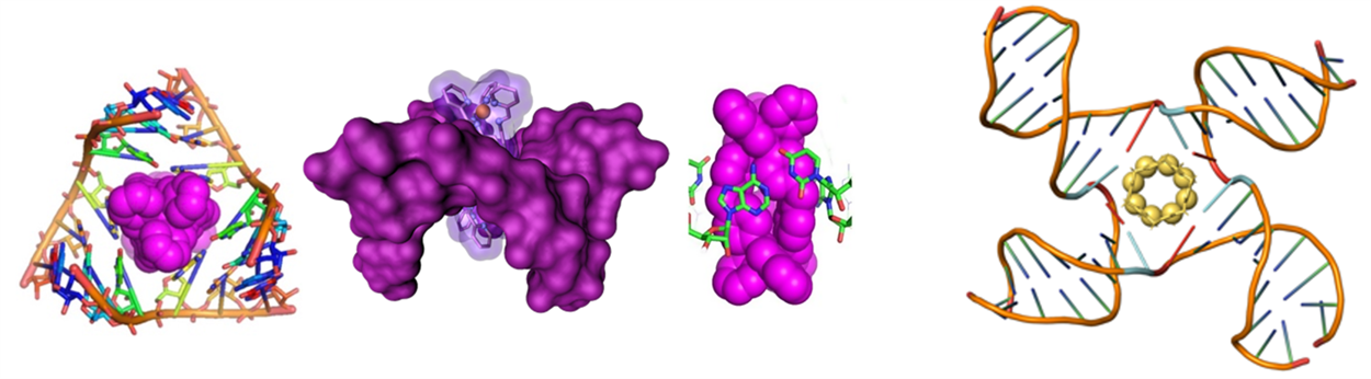 Metal-based supramolecular motifs to recognise DNA and RNA structures