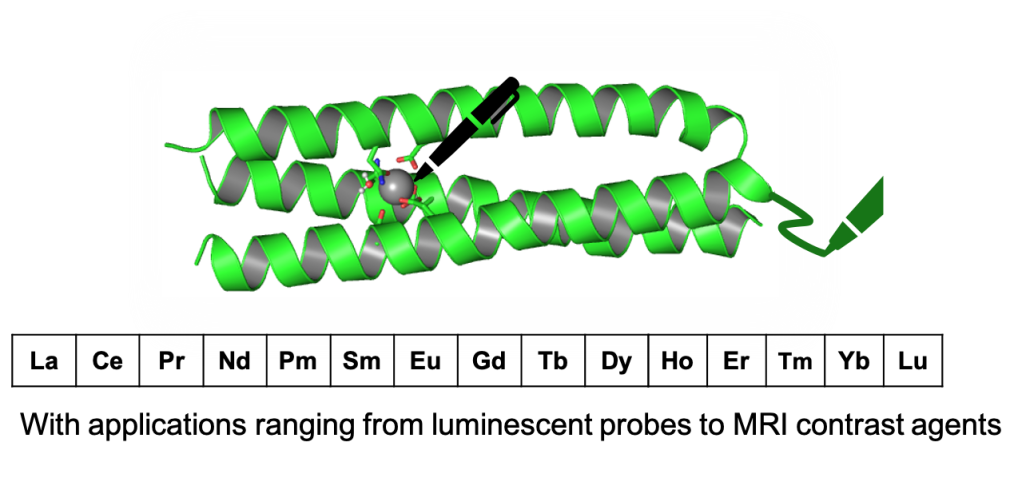 Illustration of metalloprotein spirals