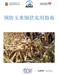 Front page of the Mandarin language lodging guidelines for maize.