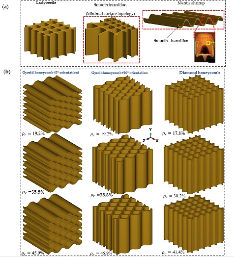 4D printing of bio-inspired structures