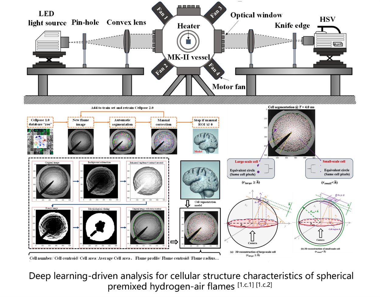 Deep learning-driven analysis for cellular structure characteristics of spherical premixed hydrogen-air flames