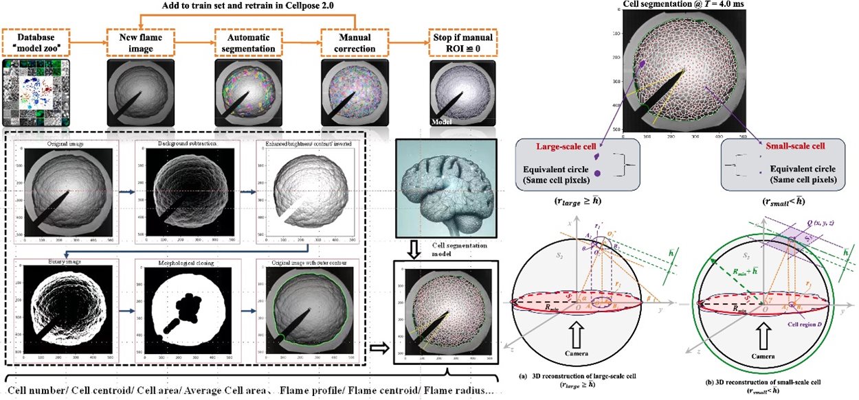 Deep learning-driven analysis for cellular structure characteristics of spherical premixed hydrogen-air flames