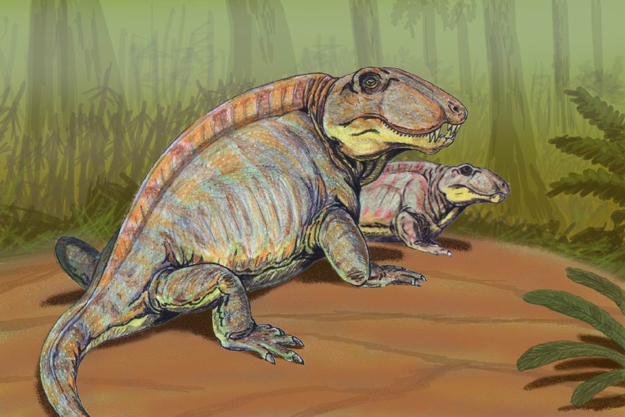 Fossil Footprints Give Glimpse Of How Reptiles Became Dominant On Land