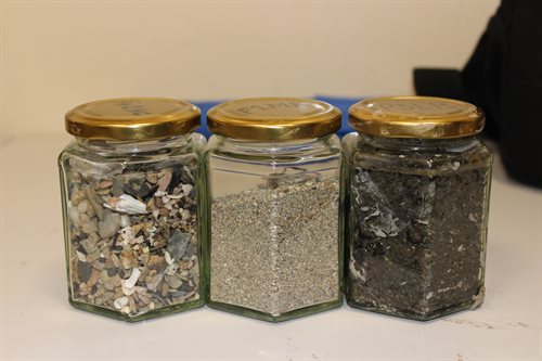 Sediment samples before microplastic extraction