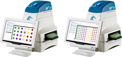 seahorse xf analysers-405