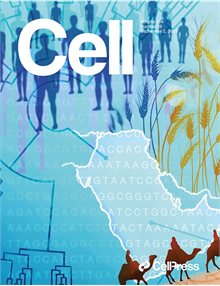 Cover image of Cell publication.