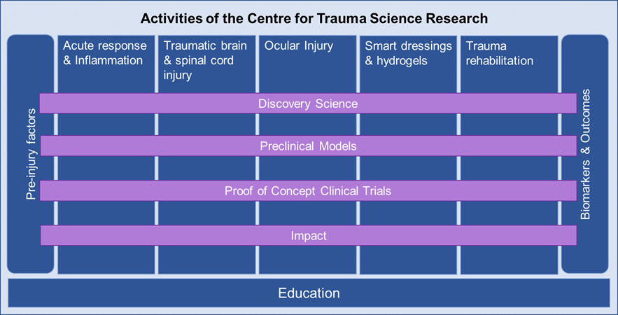 Education, Discovery Science, Preclinical Models, Proof of Concept Clinical Trials and Impact span across all activities within the Centre for Trauma Science Research. These activities are: Pre-injury factors, Acute response & Inflammation, Traumatic brain & spinal cord injury, Ocular Injury, Smart dressings & hydrogels, Trauma rehabilitation and Biomarkers & Outcomes.