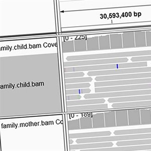 Discover MSc Bioinformatics