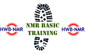 HWB NMR Basic Training logo