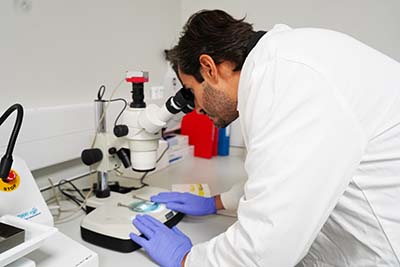 Lab worker looking in the microscope