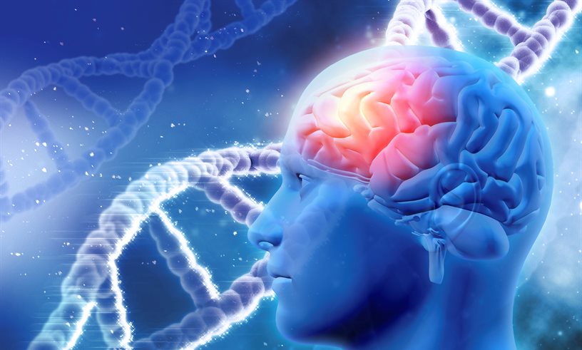 Birmingham Researchers to investigate genetic basis of brain diseases