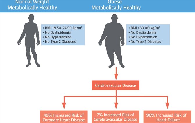 Study shows so-called 'healthy obesity' is harmful to cardiovascular heath