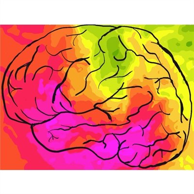 A multicoloured image of the brain with vibrant red, pink, yellow, green and orange patches.