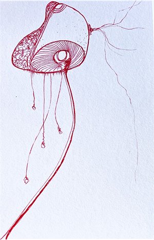 Black and white drawing of a mushroom by Dan Auluk