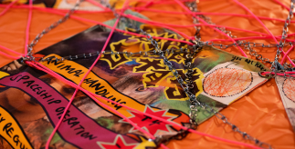 A colourful image with the words 'Animal Handling' and 'Spaceship Operation' on an orange background with red strings and metal chains laid on top of it.