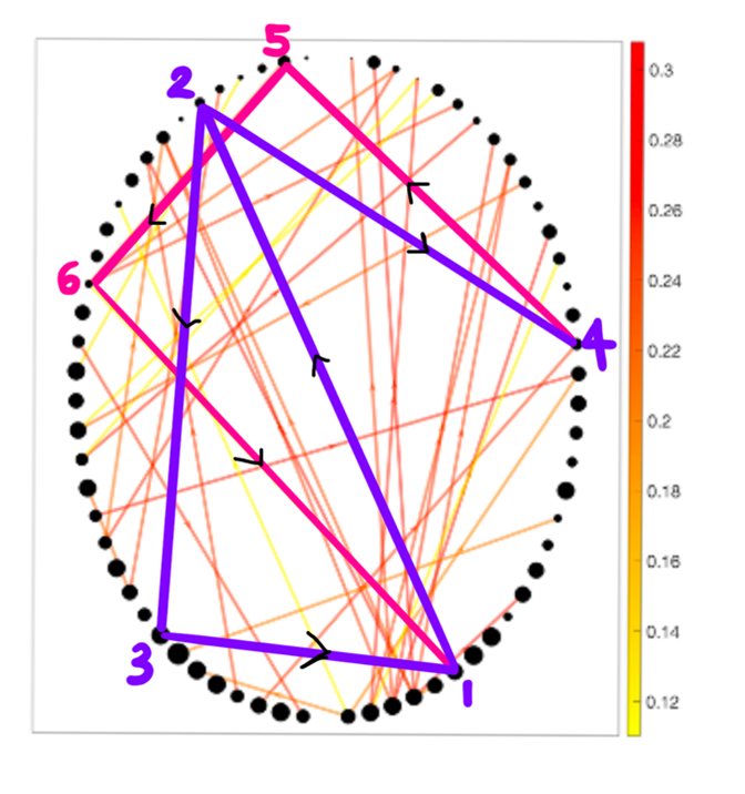 The neurodivergent oval of intersecting lines overlayed with purple lines for questions 1 through 3 and pink lines for questions 4-6.