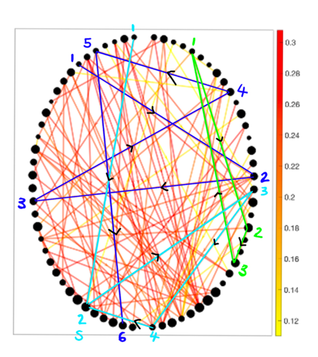 A network of green, light blue and dark blue lines with questions associated.