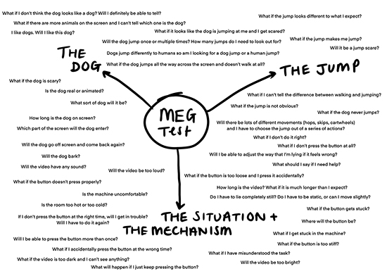 In the centre of a spider diagram is "MEG test" and branching out to three subsections "the dog", "the jump", "the situation plus the mechanism" surrounding the branches are questions.