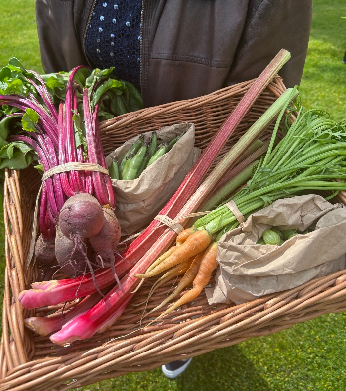 A large wicker hamper containing homegrown beetroot, baby carrots, gooseberries, beans and rhubarb