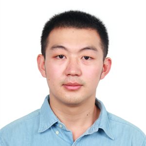 Mr Wei Wang - School Of Mathematics - University Of Birmingham