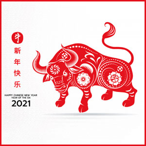 Bull zodiac image for Chinese New Year