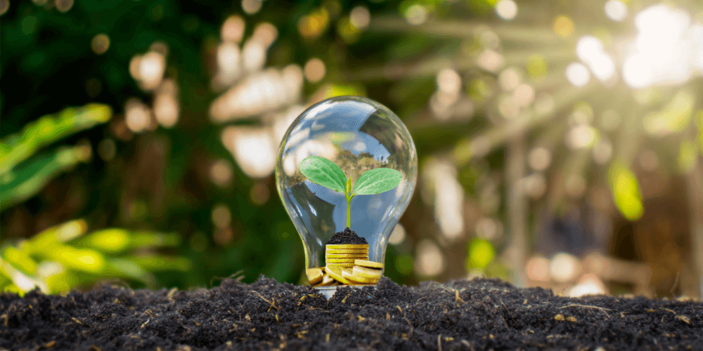 A lightbulb with the bottom of the bulb buried in soil, and the inside the light bulb contains a plant shoot growing out of some coins.