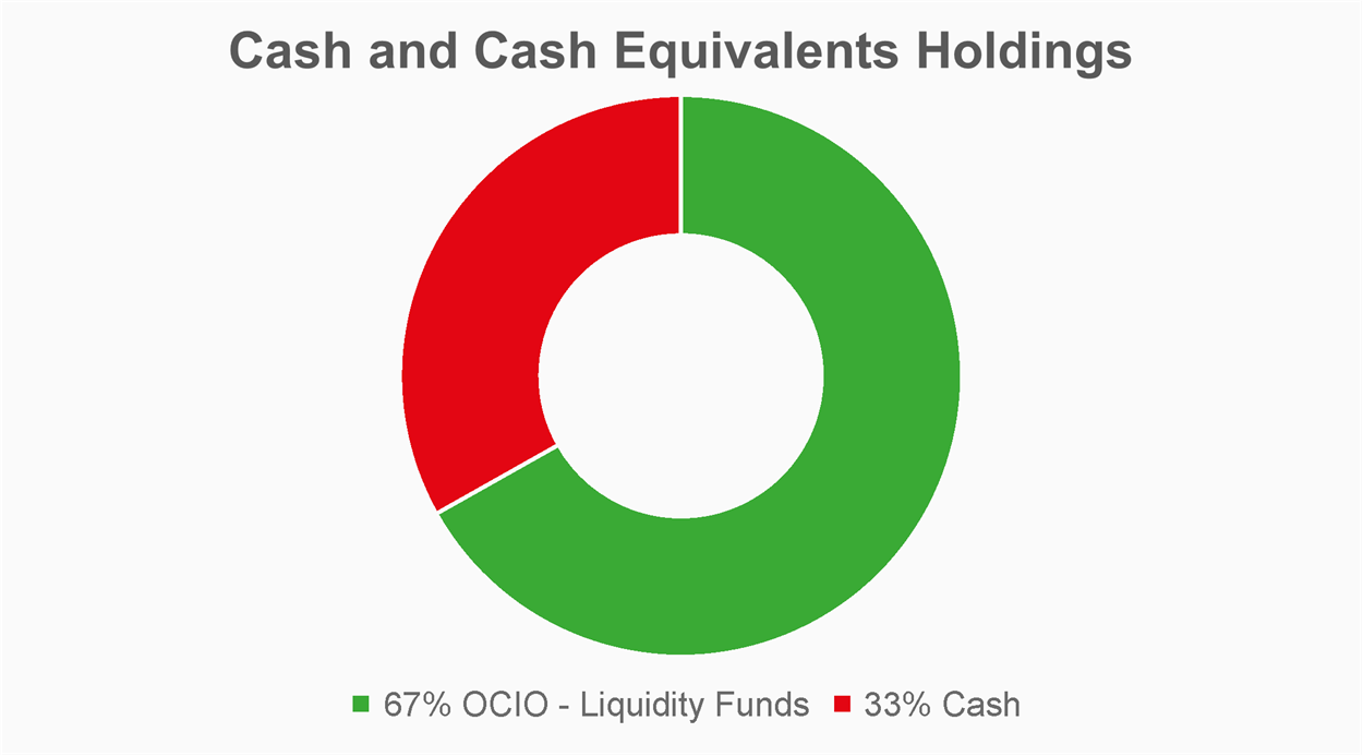 Chart 3 shows the University’s cash and cash equivalents split between liquidity funds and cash holdings, as at 31 July 2024