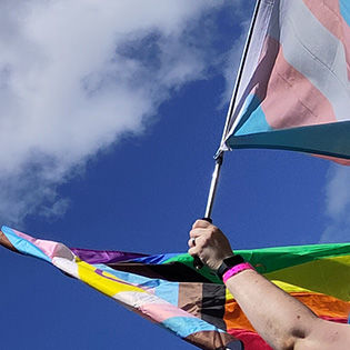 Rainbow flags held high