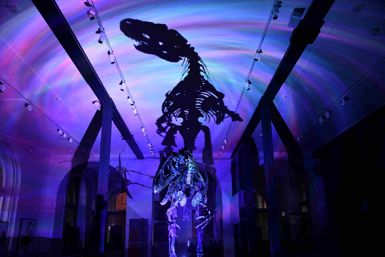 Halloween Movie Night at the Museum