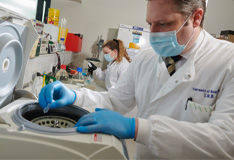 Scientists working in the lab