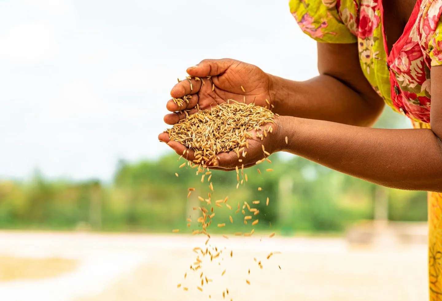 Grains falling from a woman's cupped hands