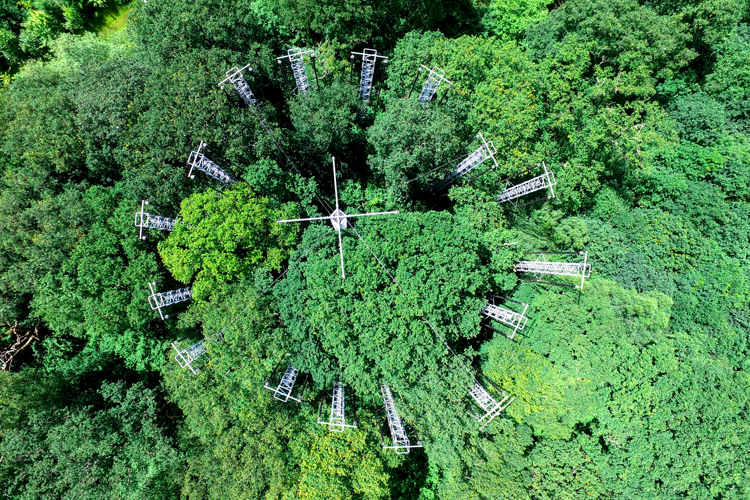 Aerial view of the BIFoR FACE facility rising up through a monochromatic green forest canopy