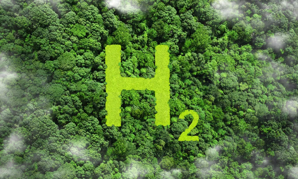 Computer generated image of a giant H2 mowed into grass in thick forest from above.