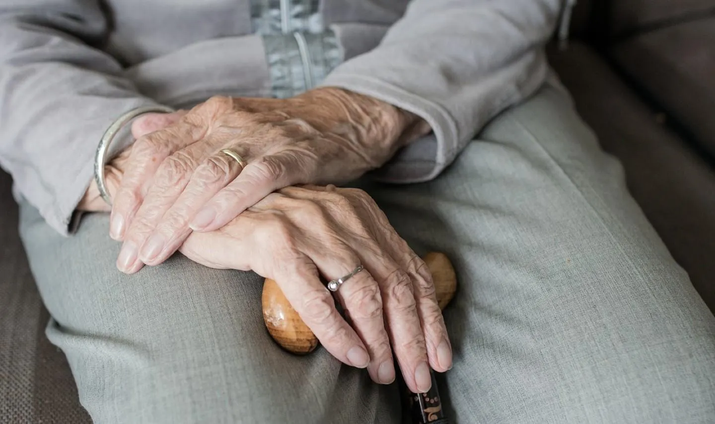 close up of old person's hands, holding a walking stick