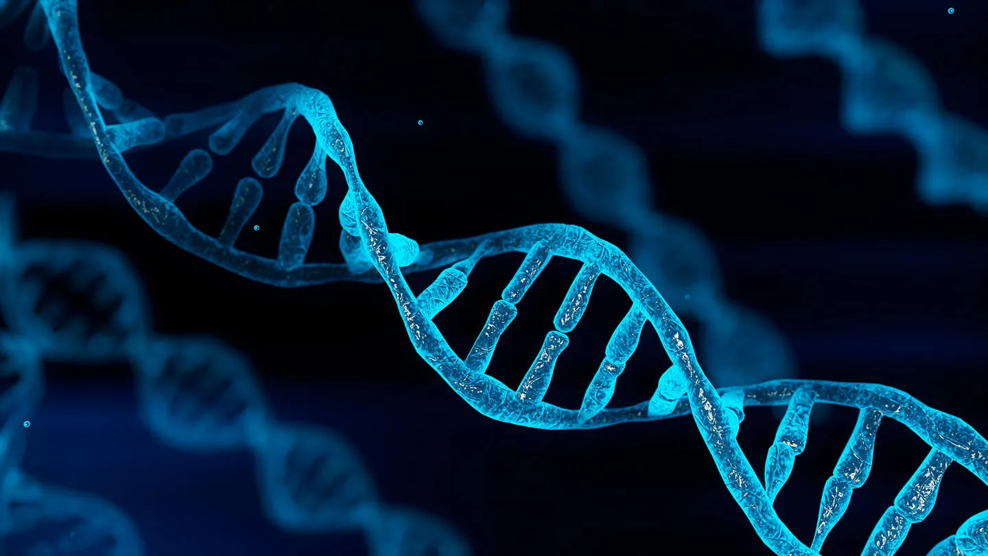 DNA molecule