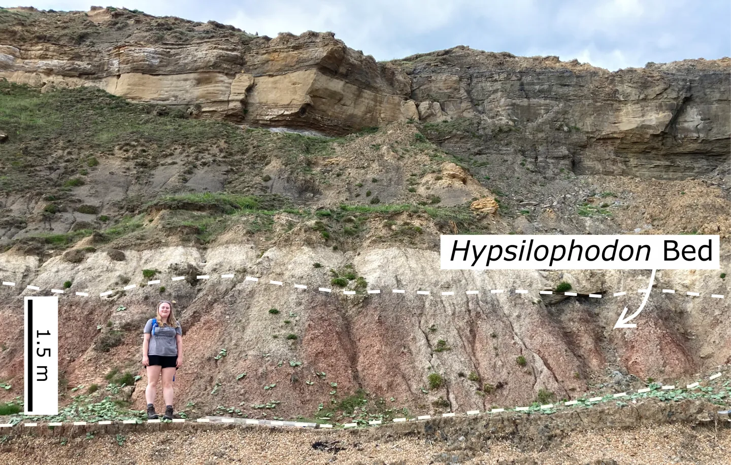 Hypsilophodon Bed outcrop with a person standing beside for scale.