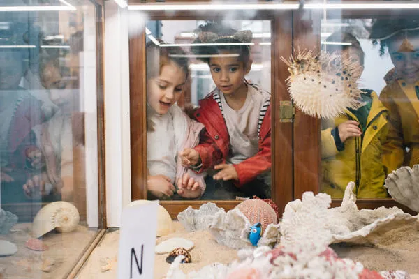 Two children look into a display case.