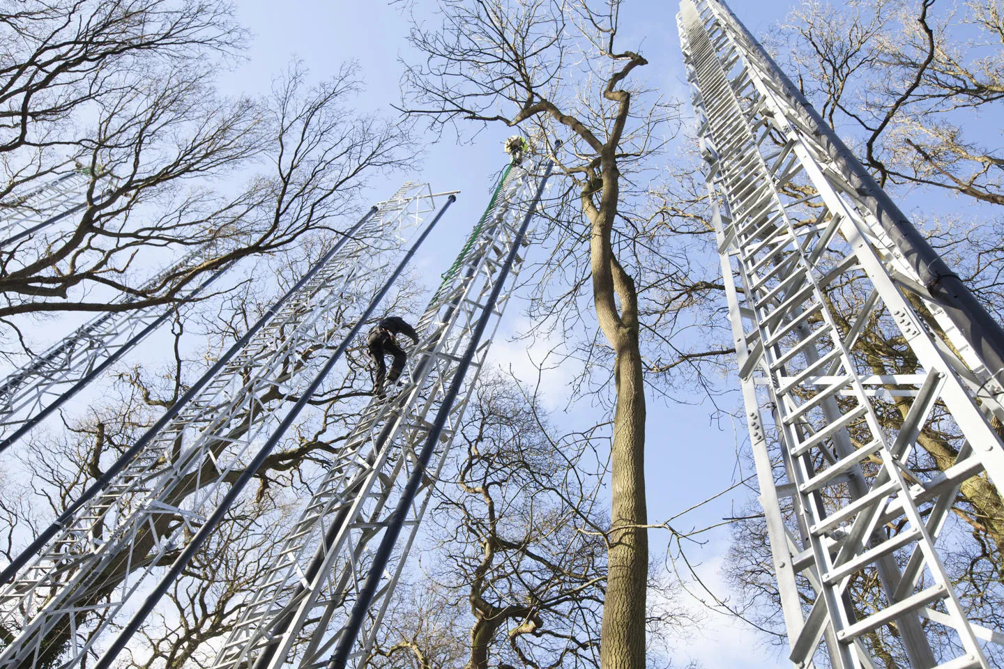 A person climbing a mast at the BIFoR FACE experiment