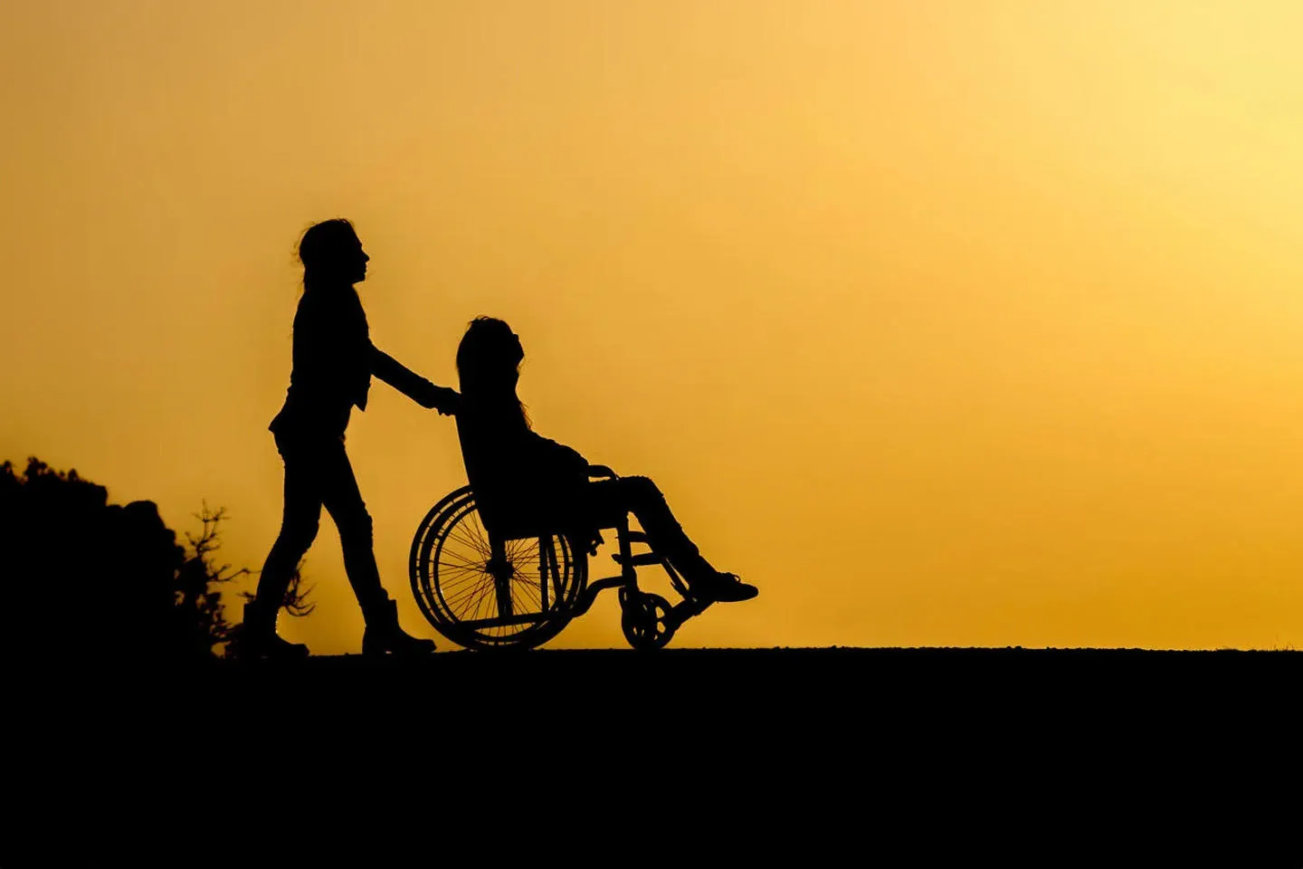 A woman pushing a teenager in a wheelchair in silhouette