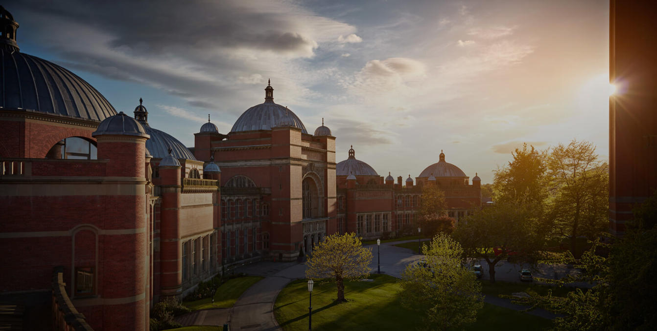 Undergraduate study  University of Birmingham